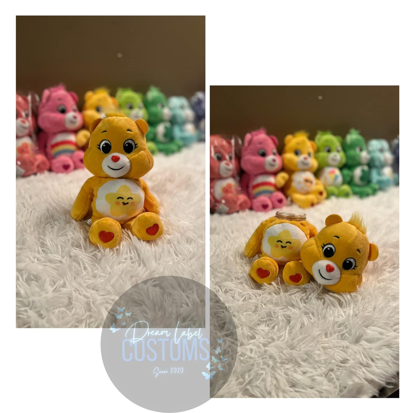 9in Carebear Stash Jars